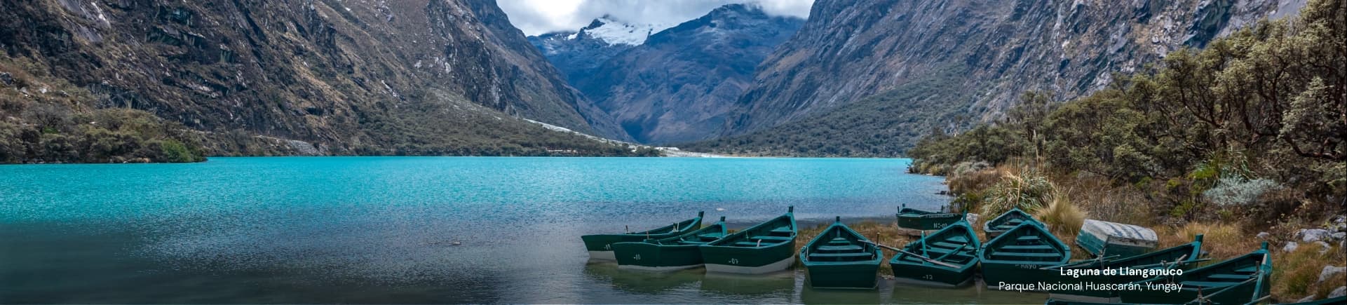 Compare and buy bus tickets, train tickets, airport transfers and bip recharge in Chile. turbus, Pullman Bus, Transvip, Delfos and more.